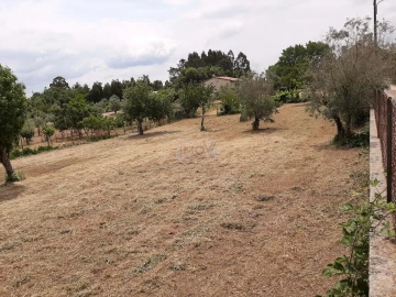 Terreno para Venda em Ferreira do Zezere