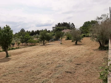 Terreno para Venda em Ferreira do Zezere