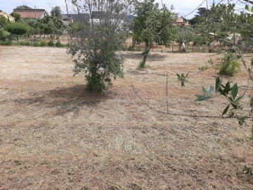 Terreno para Venda em Ferreira do Zezere