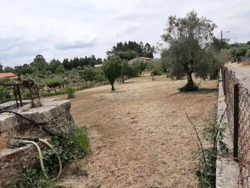 Terreno para Venda em Ferreira do Zezere