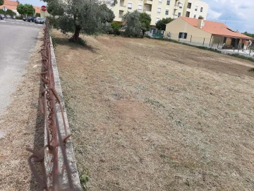 Terreno para Venda em Ferreira do Zezere