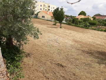 Terreno para Venda em Ferreira do Zezere