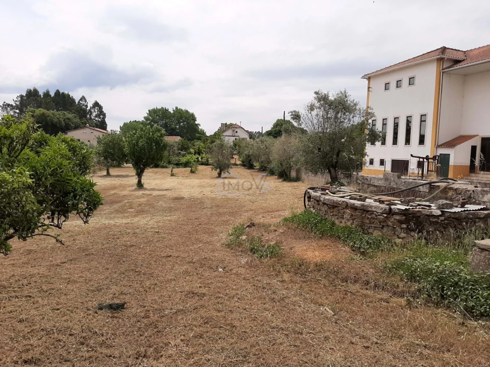 Terreno para Venda em Ferreira do Zezere Foto 21