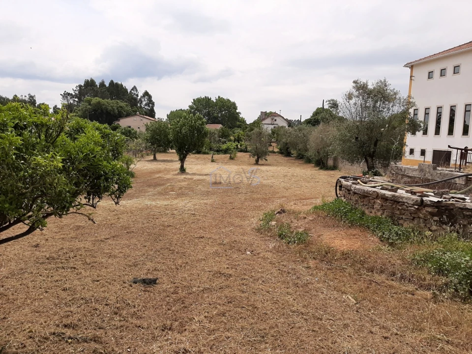Terreno para Venda em Ferreira do Zezere Foto 19