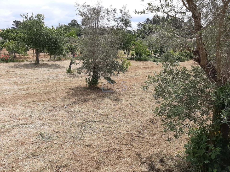 Terreno para Venda em Ferreira do Zezere Foto 15
