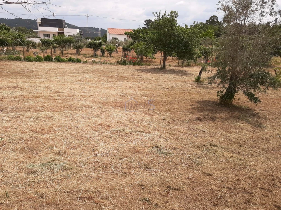 Terreno para Venda em Ferreira do Zezere Foto 14