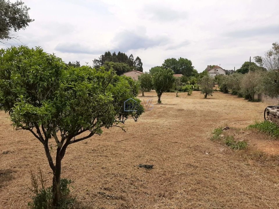 Terreno para Venda em Ferreira do Zezere Foto 20
