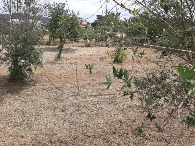Terreno para Venda em Ferreira do Zezere Foto 18