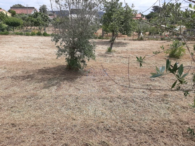 Terreno para Venda em Ferreira do Zezere Foto 17