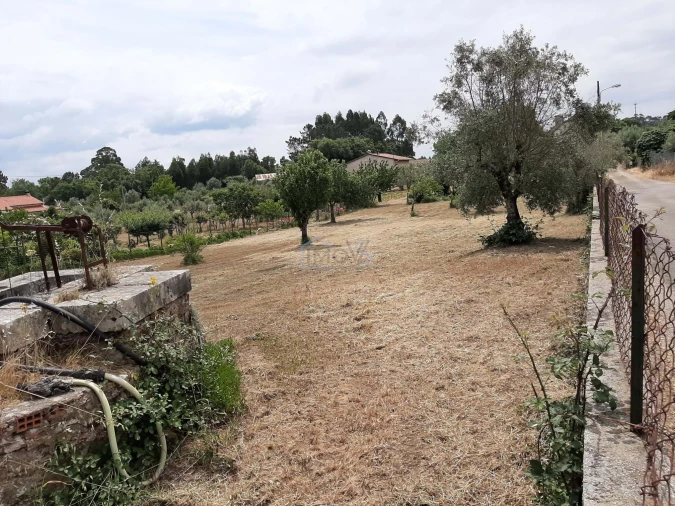 Terreno para Venda em Ferreira do Zezere Foto 7