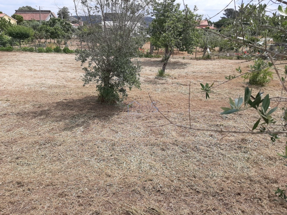 Terreno para Venda em Ferreira do Zezere Foto 17