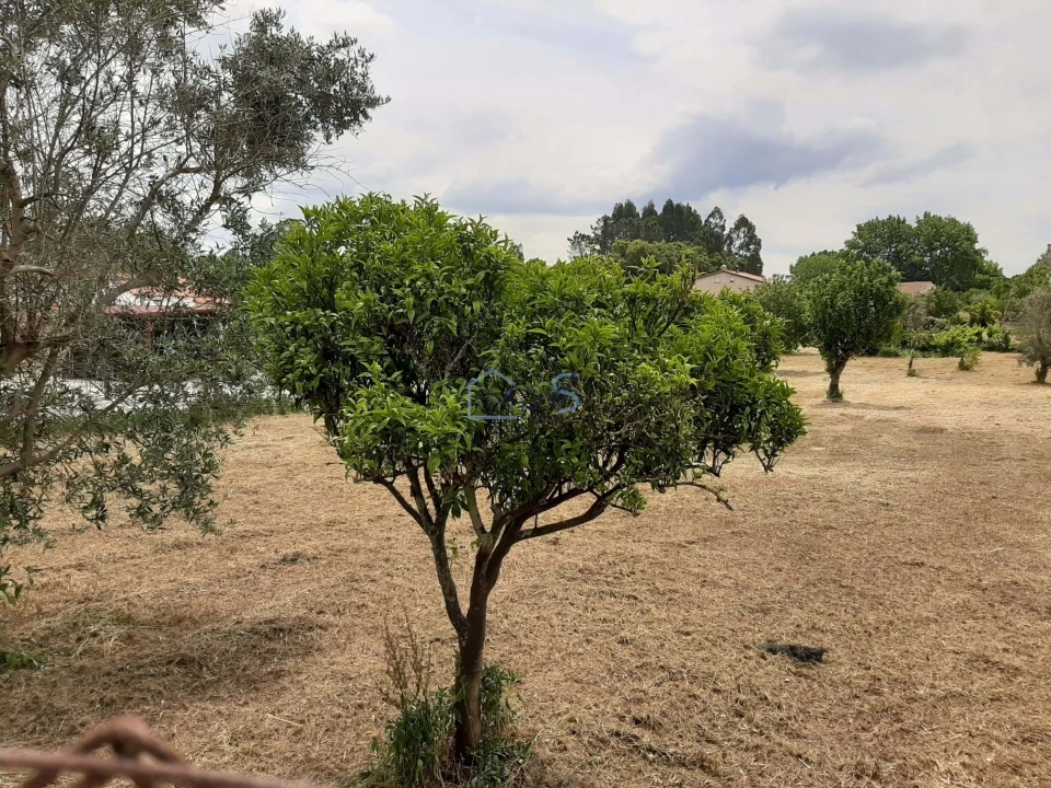 Terreno para Venda em Ferreira do Zezere Foto 23