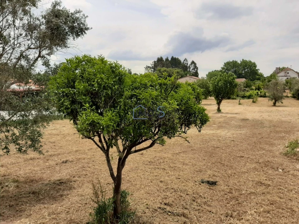Terreno para Venda em Ferreira do Zezere Foto 22
