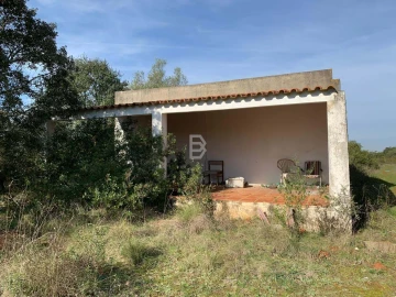 Terreno Agricola ou Rústico para Venda em Almoster