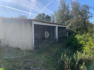 Terreno Agricola ou Rústico para Venda em Almoster