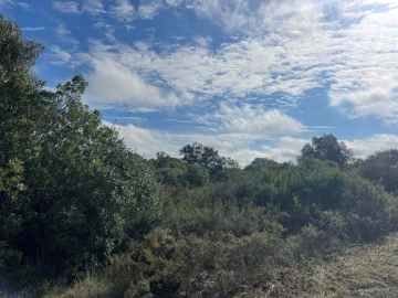 Terreno Agricola ou Rústico para Venda em Almoster