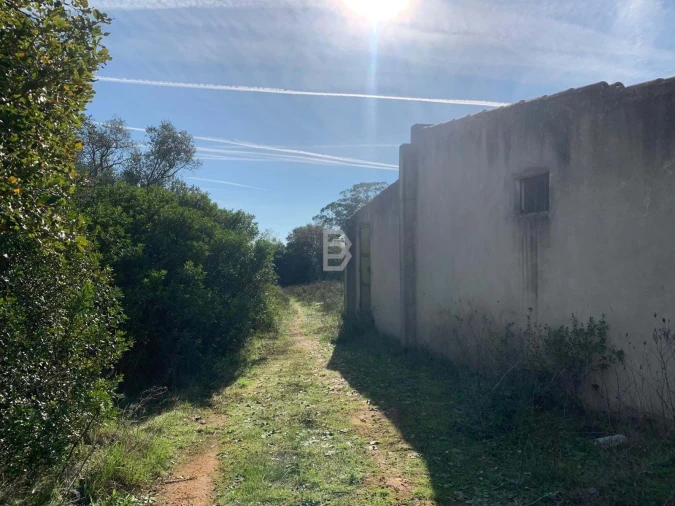 Terreno Agricola ou Rústico para Venda em Almoster Foto 10