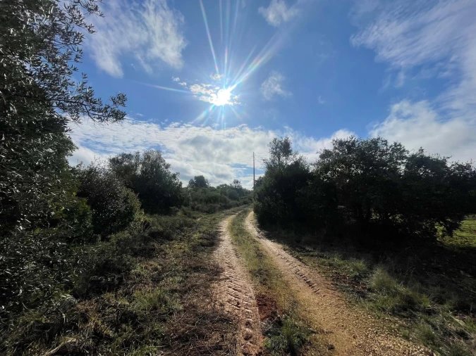 Terreno Agricola ou Rústico para Venda em Almoster Foto 15