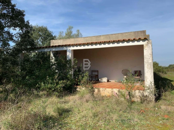 Terreno Agricola ou Rústico para Venda em Almoster Foto 4