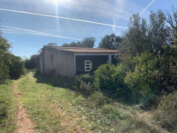 Terreno Agricola ou Rústico para Venda em Almoster Foto 3