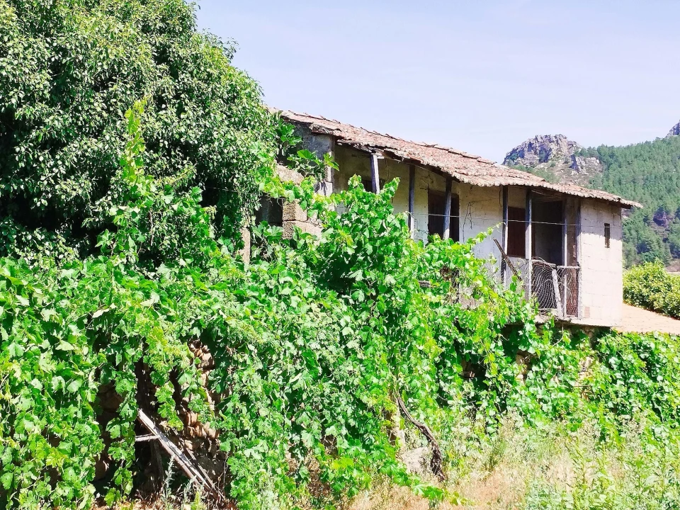 Terreno para Venda em Vilas Boas e Vilarinho das Azenhas Foto 2