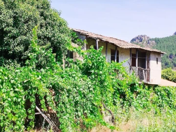Terreno para Venda em Vilas Boas e Vilarinho das Azenhas