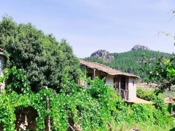 Terreno para Venda em Vilas Boas e Vilarinho das Azenhas