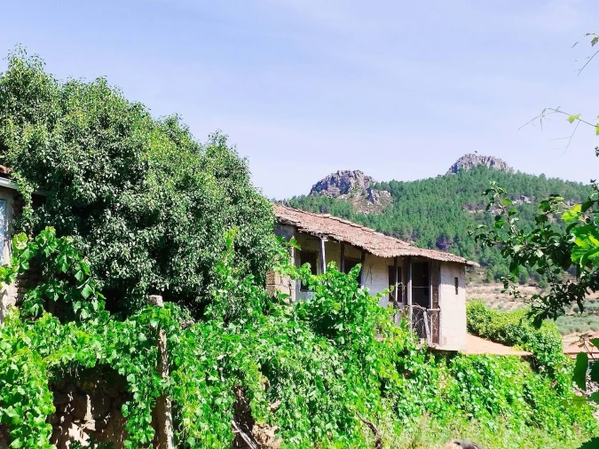 Terreno para Venda em Vilas Boas e Vilarinho das Azenhas Foto 10