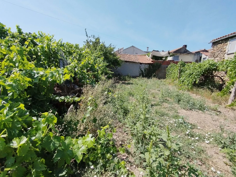 Terreno para Venda em Vilas Boas e Vilarinho das Azenhas Foto 9