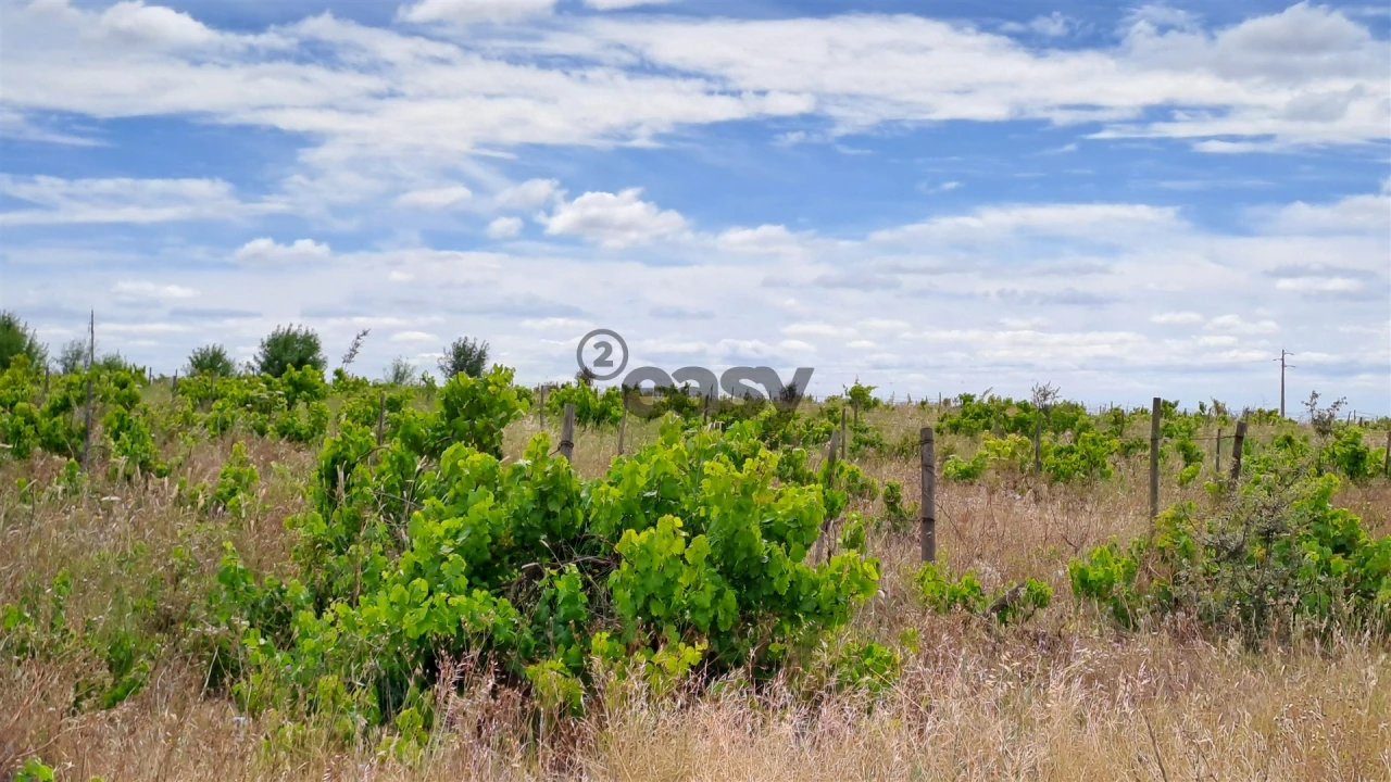 Terreno Agricola ou Rústico para Venda em Selmes Foto 2
