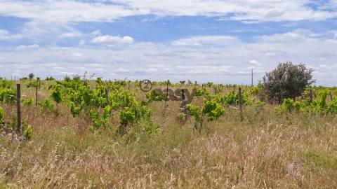 Terreno Agricola ou Rústico para Venda em Selmes