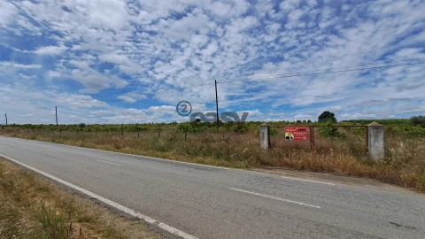 Terreno Agricola ou Rústico para Venda em Selmes