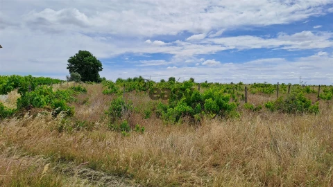 Terreno Agricola ou Rústico para Venda em Selmes