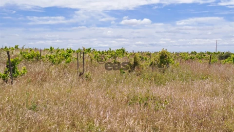 Terreno Agricola ou Rústico para Venda em Selmes