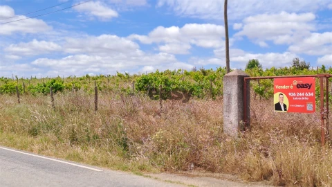 Terreno Agricola ou Rústico para Venda em Selmes