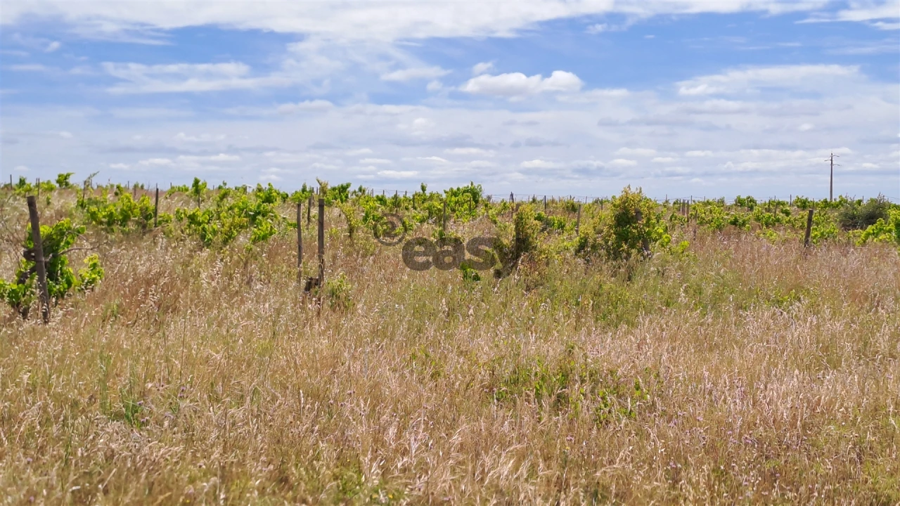 Terreno Agricola ou Rústico para Venda em Selmes Foto 7