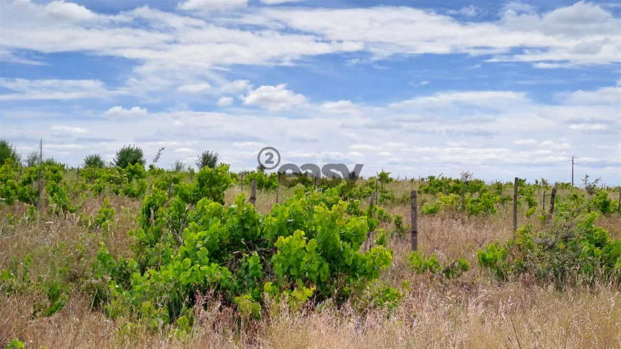 Terreno Agricola ou Rústico para Venda em Selmes Foto 2