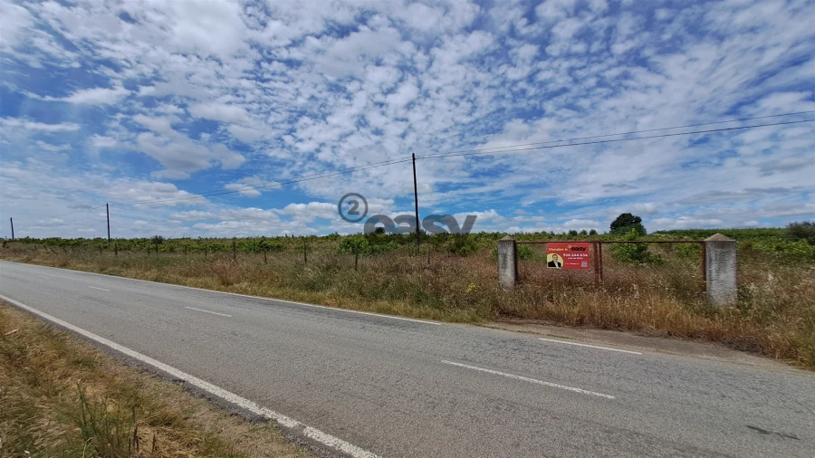 Terreno Agricola ou Rústico para Venda em Selmes Foto 12