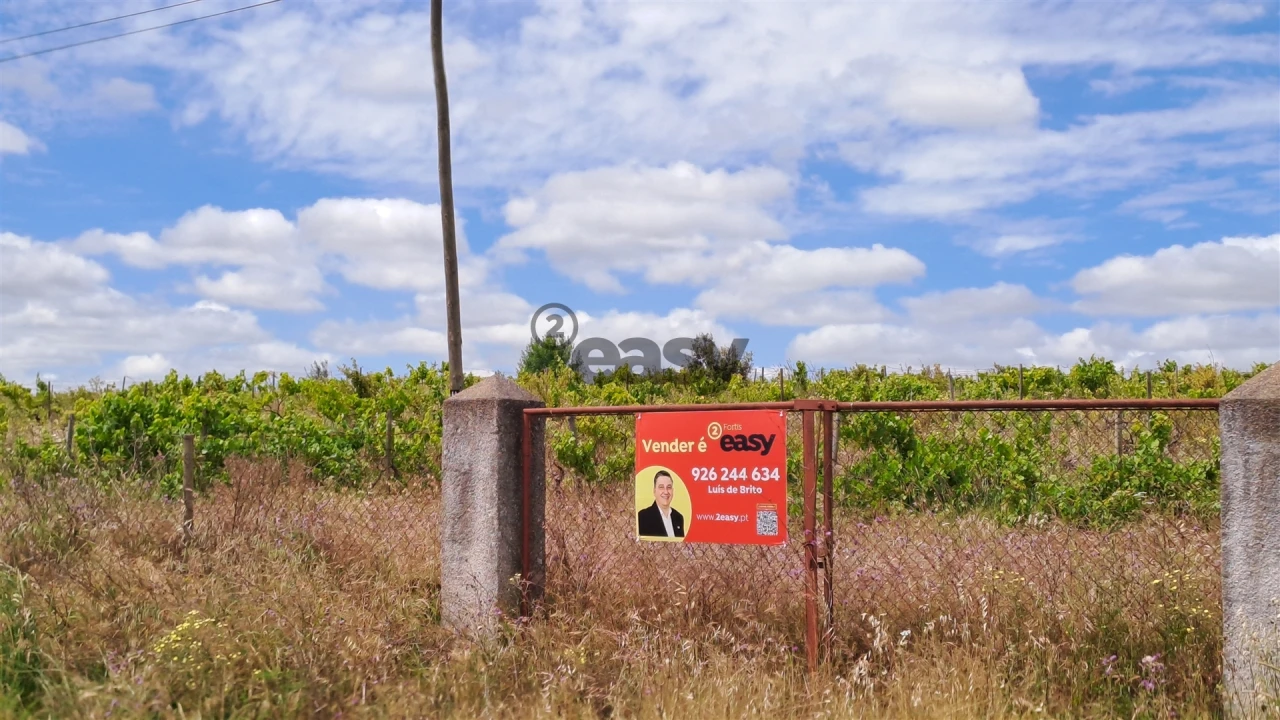 Terreno Agricola ou Rústico para Venda em Selmes Foto 10
