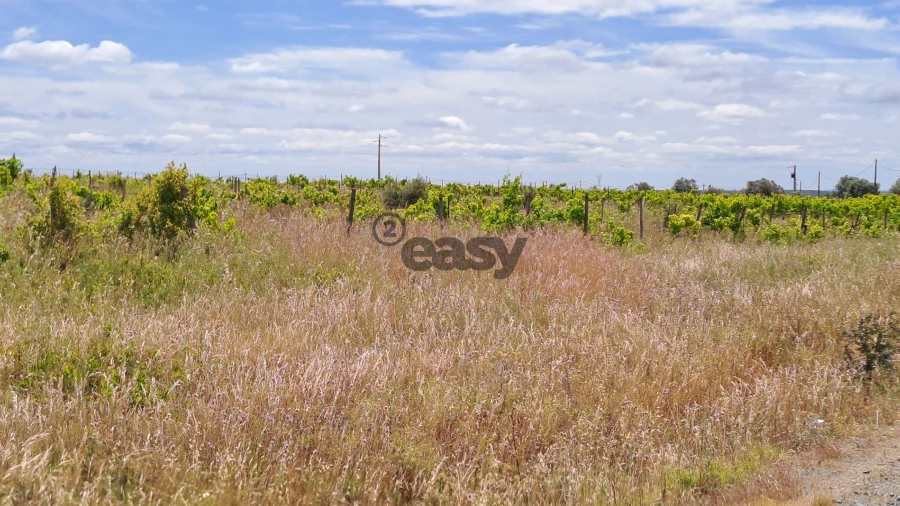Terreno Agricola ou Rústico para Venda em Selmes