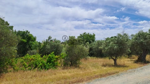 Terreno Agricola ou Rústico para Venda em Vila de Frades