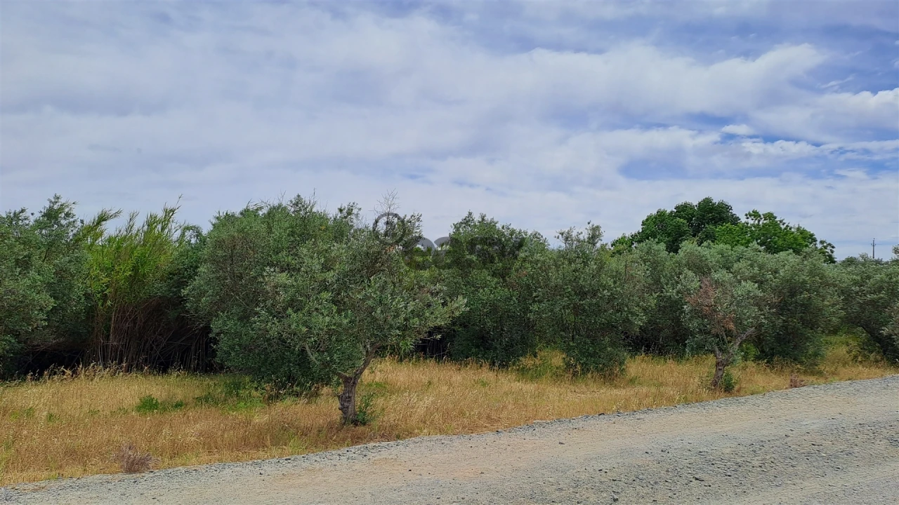 Terreno Agricola ou Rústico para Venda em Vila de Frades Foto 1