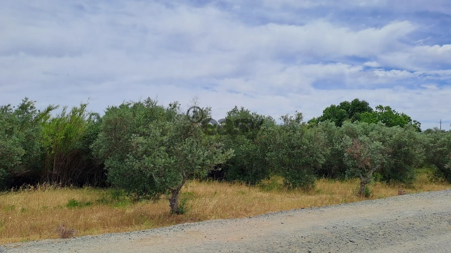 Terreno Agricola ou Rústico para Venda em Vila de Frades