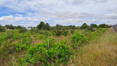 Terreno Agricola ou Rústico para Venda em Vidigueira