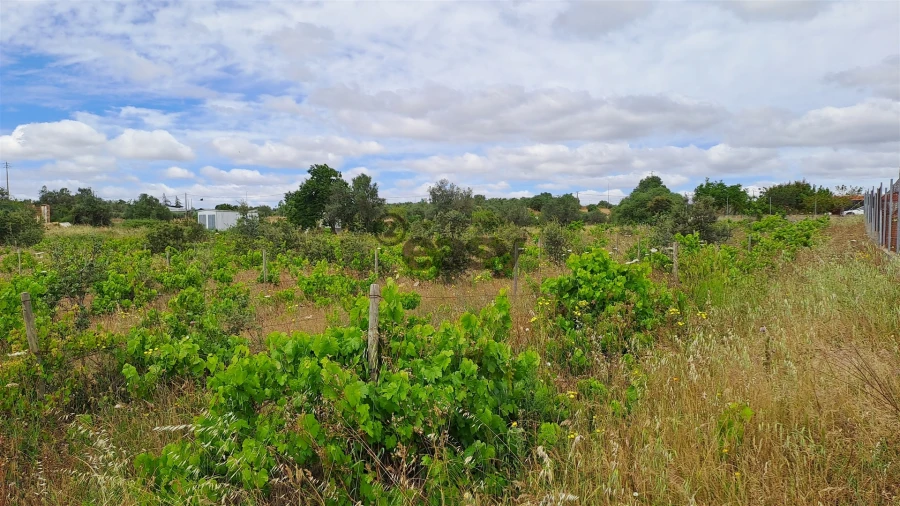Terreno Agricola ou Rústico para Venda em Vidigueira Foto 2