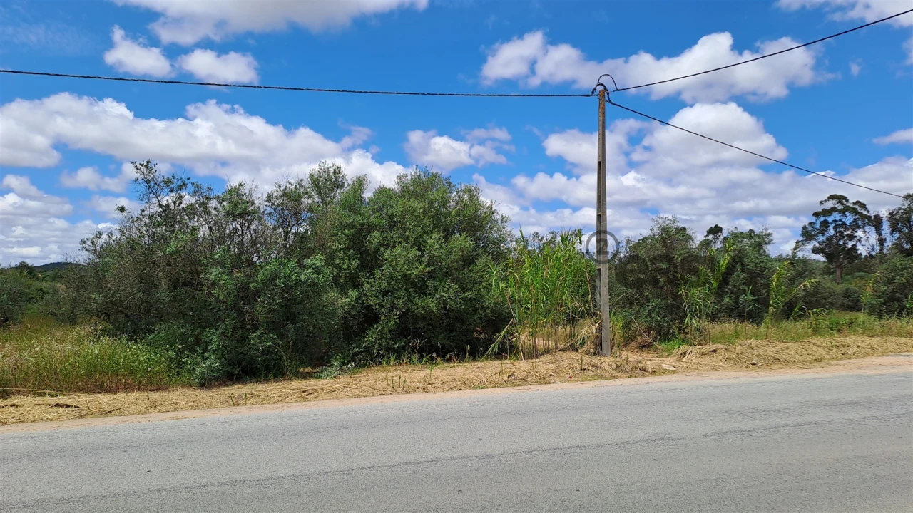 Terreno Agricola ou Rústico para Venda em Vidigueira Foto 1