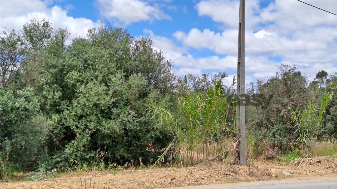 Terreno Agricola ou Rústico para Venda em Vidigueira Foto 4