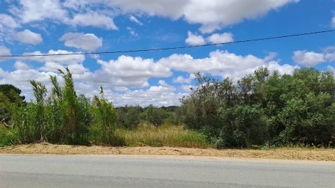 Terreno Agricola ou Rústico para Venda em Vidigueira