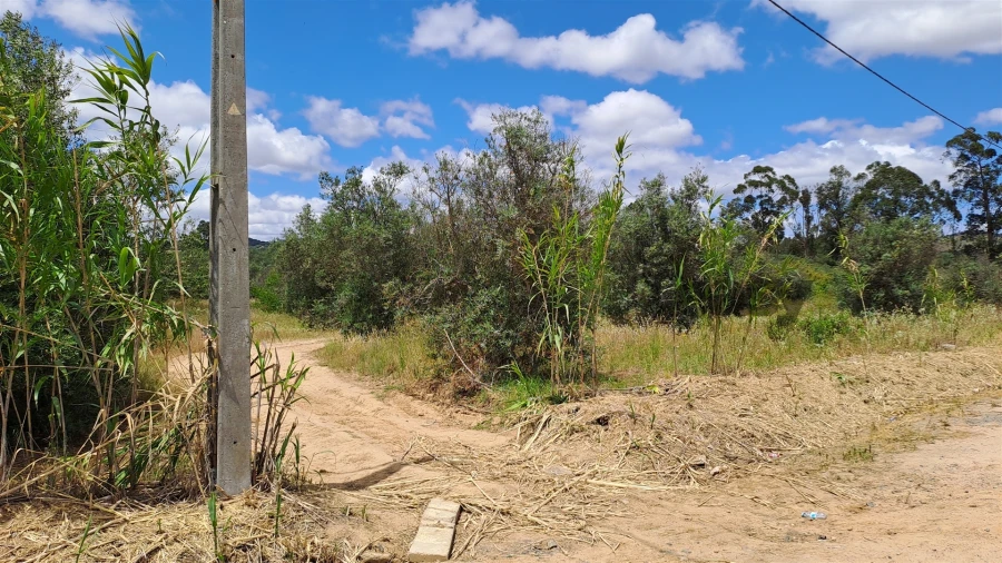 Terreno Agricola ou Rústico para Venda em Vidigueira Foto 10