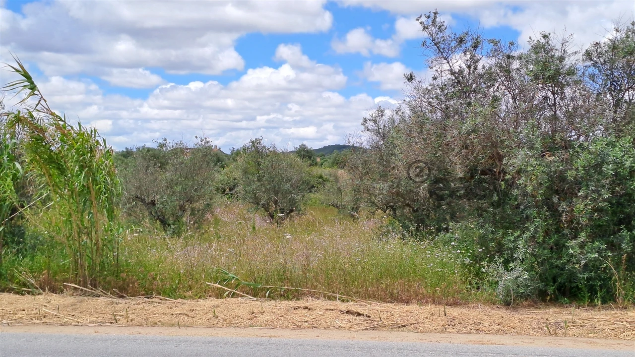 Terreno Agricola ou Rústico para Venda em Vidigueira Foto 3